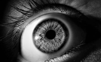 वो आँखें : फिलिप के डिक की कहानी The eyes have it का हिन्दी अनुवाद